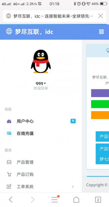 好看的swapidc模板分享-希音出海
