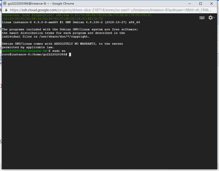 图片[5]-谷歌云搭建要饭系统要饭回家过年喊源码下载地址-希音出海