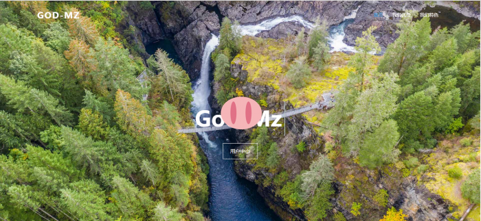 God-Mz公益版秒赞系统源码-希音出海