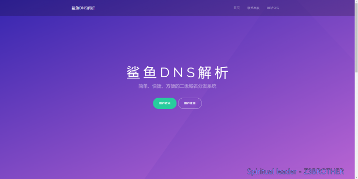 图片[1]-最新好看的二级域名分发系统梦幻版-希音出海