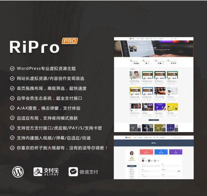 图片[1]-最新WP+RiPro主题PJ版 功能强大-希音出海