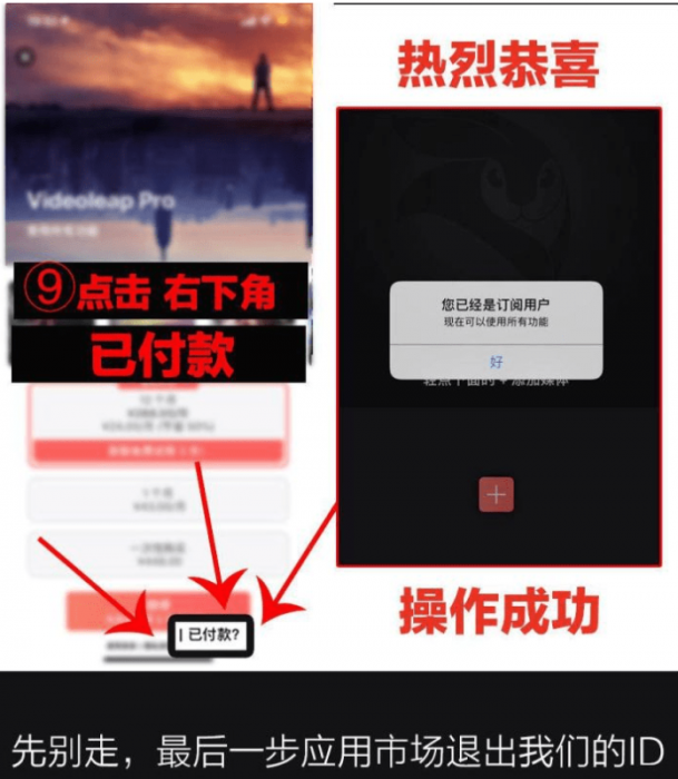 抖音超火视频剪辑软件，Videoleap某宝买的分享给大家-第2张图片-希音出海