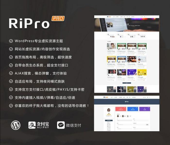 RIPro主题 v7.2 免授权修复后门完美版-希音出海