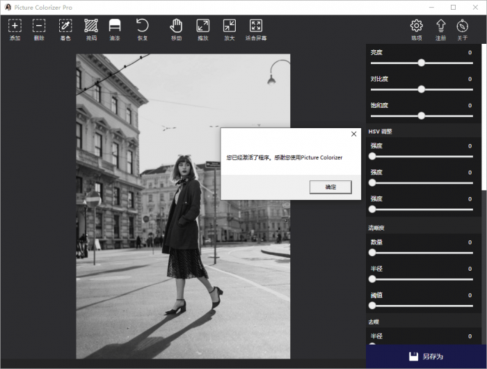 Picture Colorizer v2.4.0-希音出海