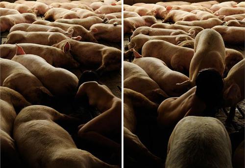 微信牛牛 性生活前，一定要做好这些准备-希音出海