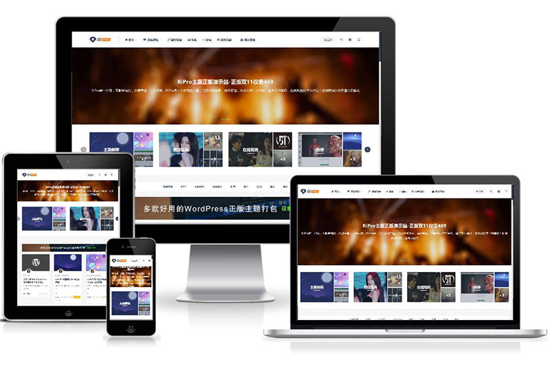 WordPress付费资源下载主题：ripro8.7最新破解版-希音出海