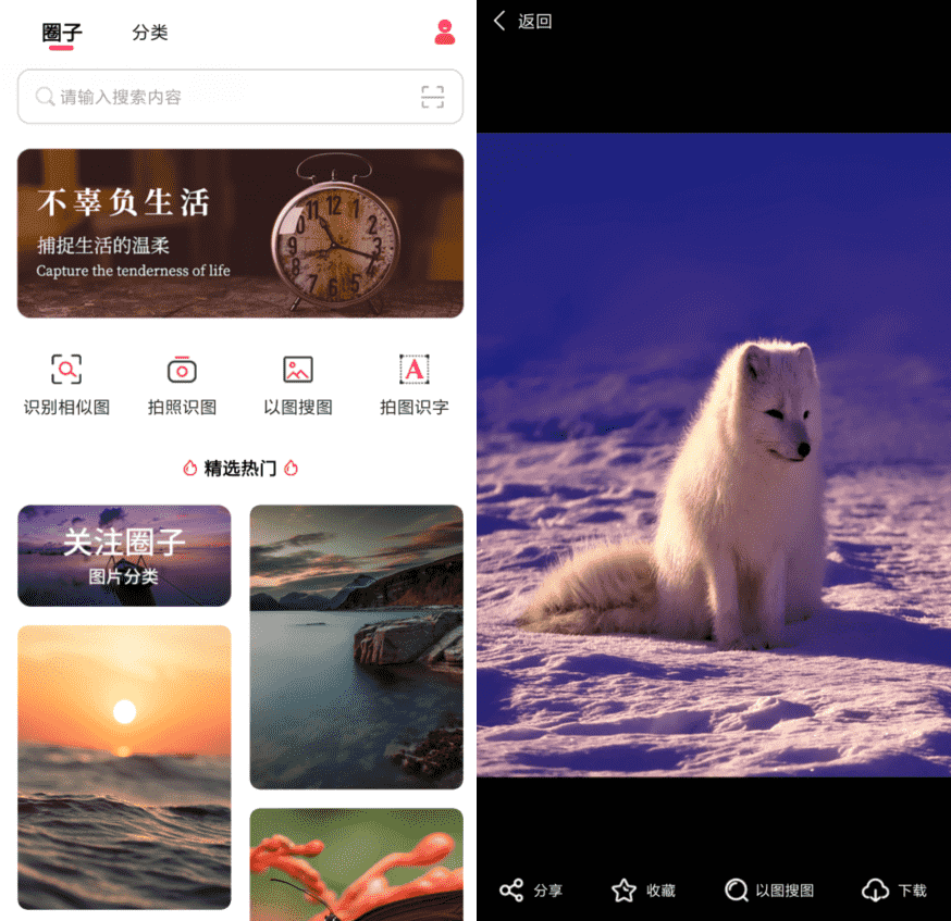 以图搜图v1.0.0纯净版-希音出海