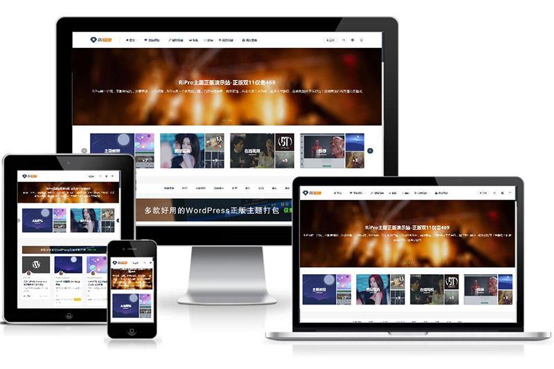 WordPress付费资源下载主题：ripro8.7最新破解版-希音出海