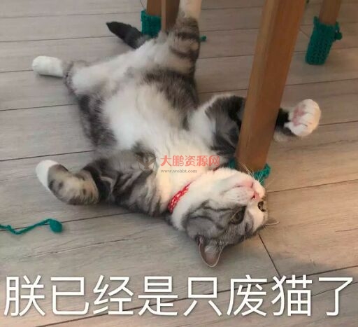 图片[15]-避孕不止安全套，17种避孕方法了解一下好兄弟们-希音出海