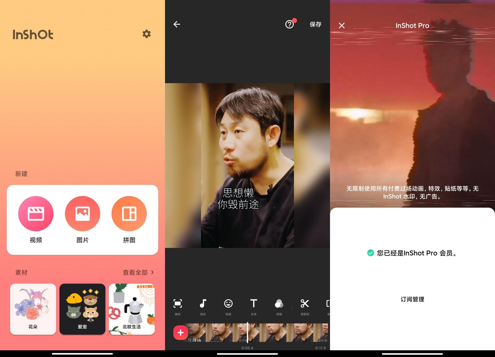 安卓InShot视频编辑专业版-希音跨境出海Sheinify - 外贸独立站建站运营一站式平台