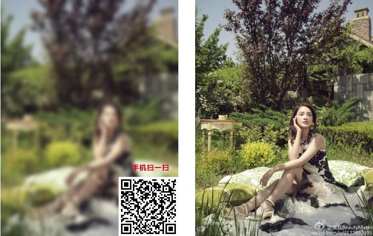 8tupian图片加密平台 v3.5-希音跨境出海Sheinify - 外贸独立站建站运营一站式平台