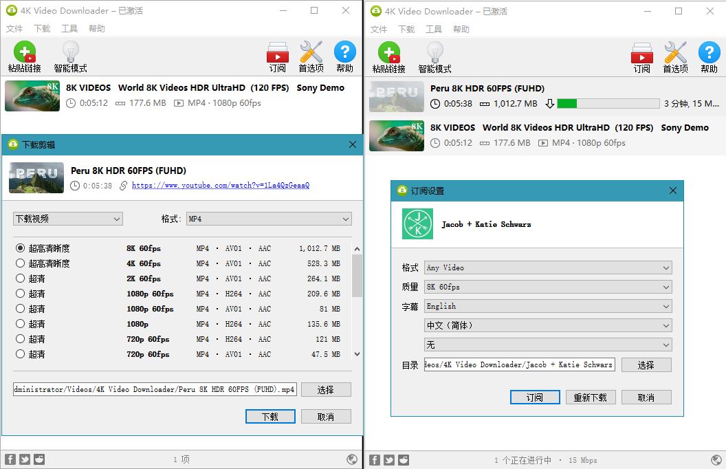油管高清视频下载利器4K Video Downloader v4.20.4-希音出海