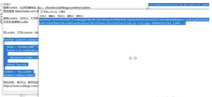 图片[6]-如何把第三方的网页cookie，手动导入到浏览器中登录访问