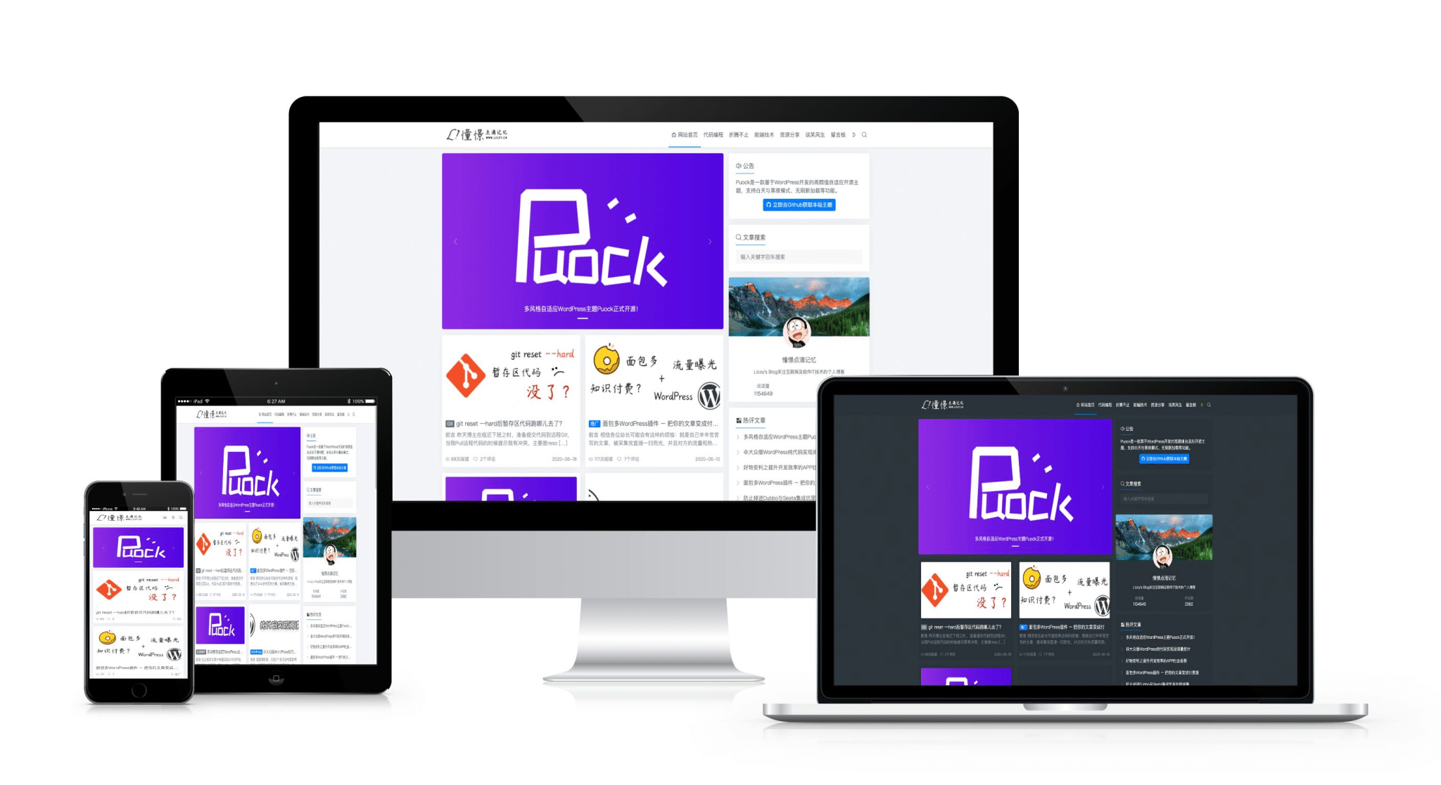 一款基于WordPress开发的高颜值的自适应主题，支持白天与黑夜模式v2.8.2-希音出海