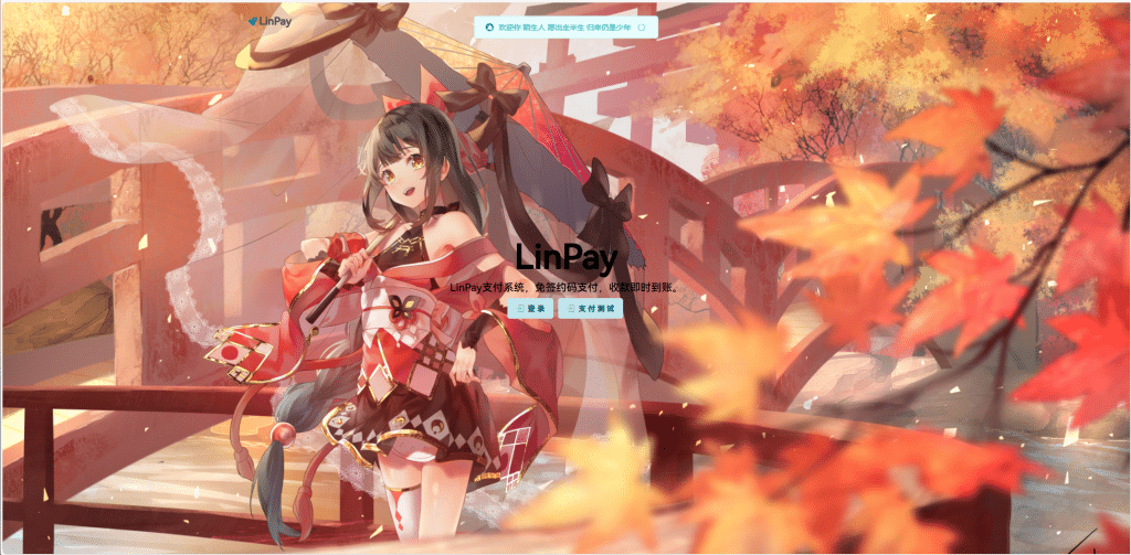 2024首发最新LinPay码支付免授权版，LinPay码支付官网，码支付，源支付-希音出海