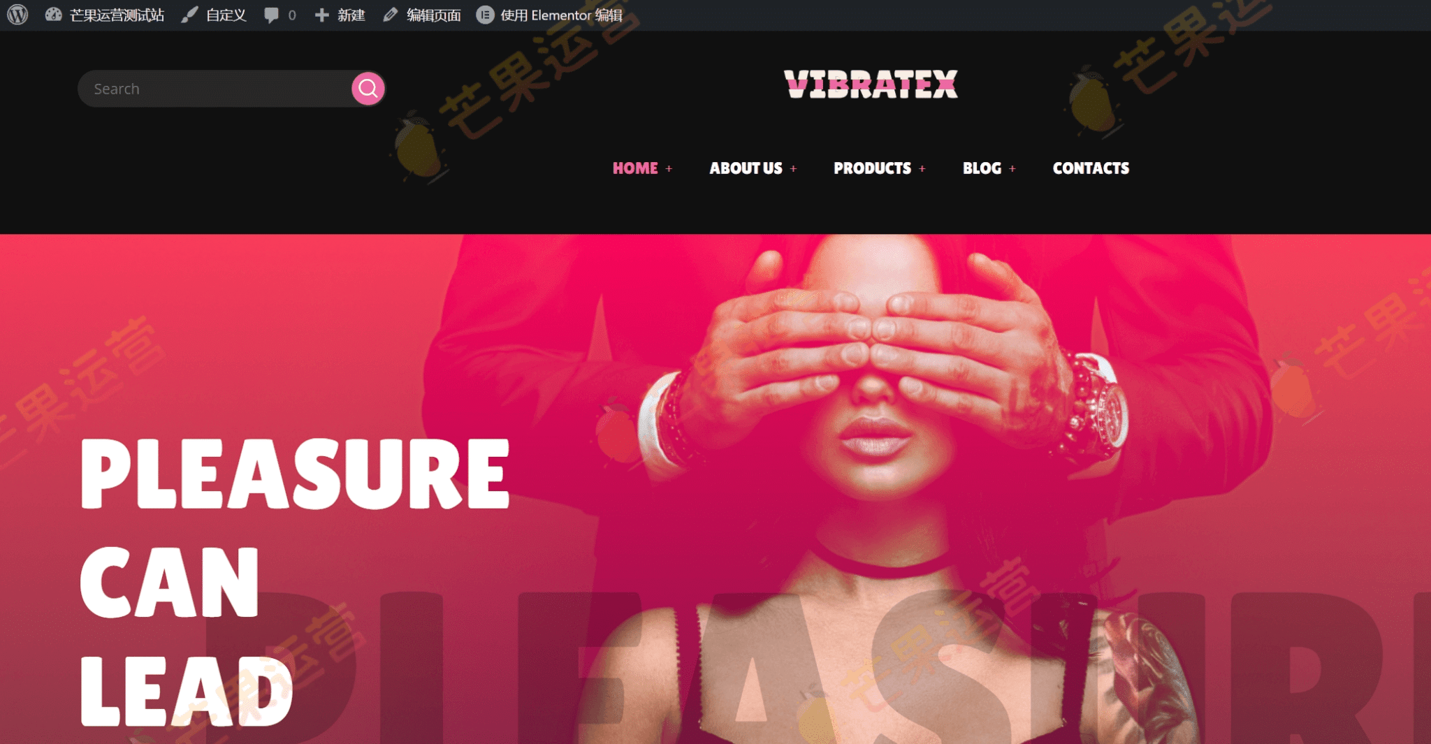 Vibratex 成人情趣玩具店 WordPress 主题破解版下载