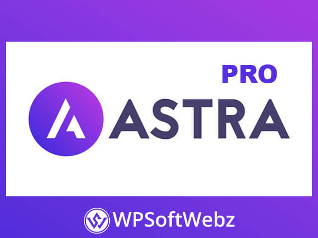 Astra Pro Addon – Astra 主题高级插件v4.12.1 汉化版-希音跨境出海Sheinify - 外贸独立站建站运营一站式平台