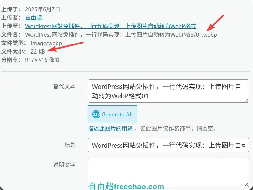 WordPress网站免插件,一行代码实现:上传图片自动转为WebP格式 4 WordPress网站免插件,一行代码实现:上传图片自动转为WebP格式04