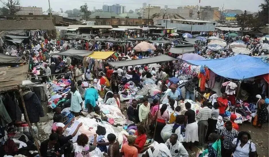 图片[11]-又一电商平台爆火，新的“风口”来了！-希音跨境出海Sheinify - 外贸独立站建站运营一站式平台