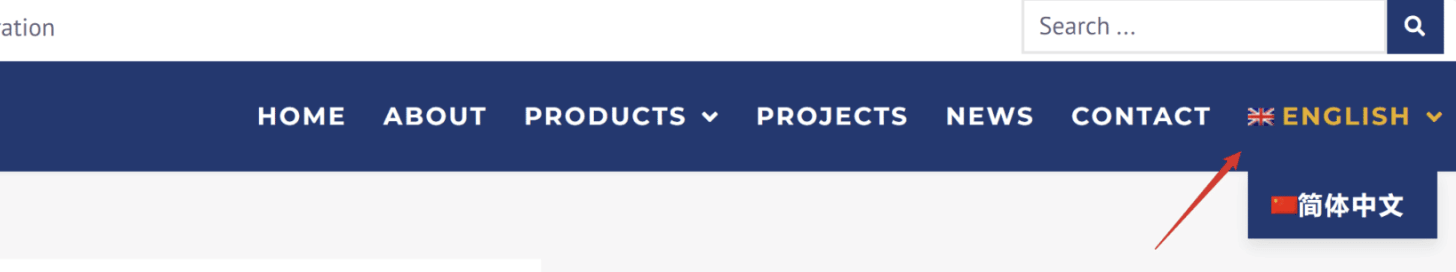 图片[59]-只需36分钟！用WPML插件打造多语言网站，让潜在客户自动找上门