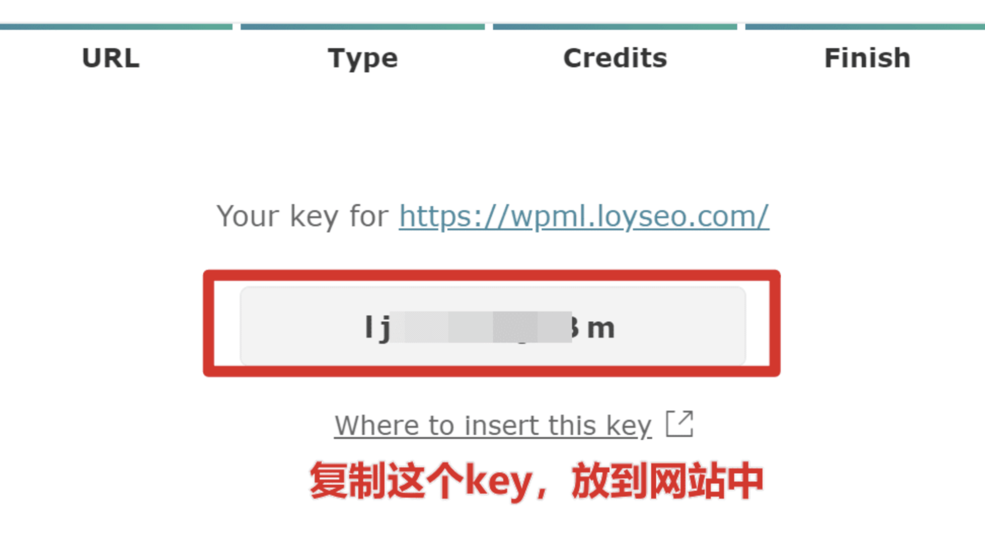 图片[19]-只需36分钟！用WPML插件打造多语言网站，让潜在客户自动找上门